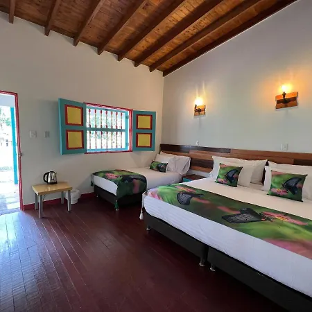 Hotel Momotus Cocora Salento Exterior photo