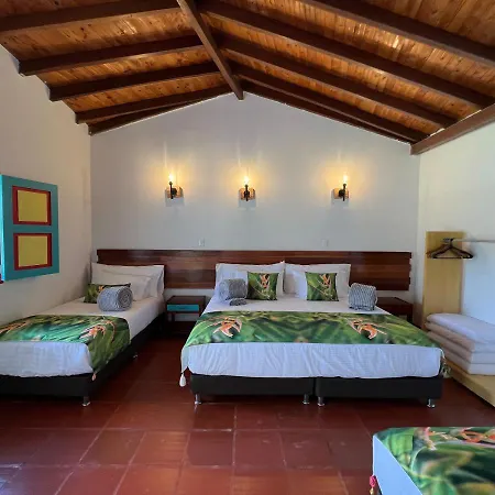 Hotel Momotus Cocora Salento Exterior photo