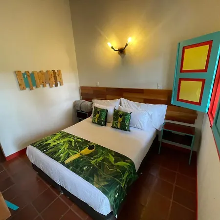 Hotel Momotus Cocora Salento Exterior photo