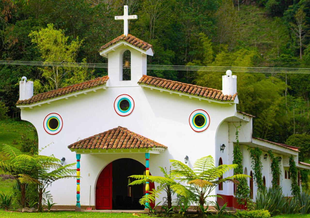 Momotus Cocora Salento