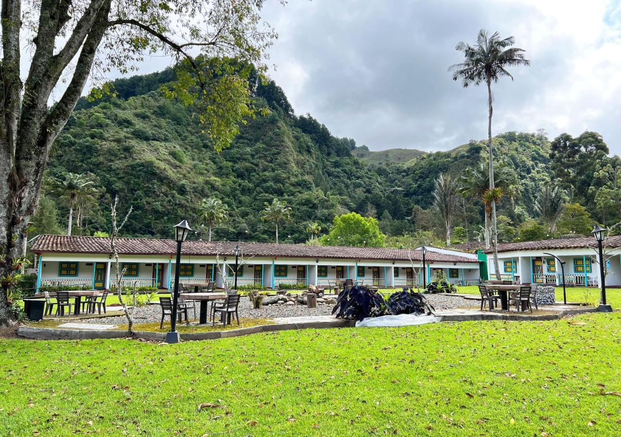 Momotus Cocora 2*