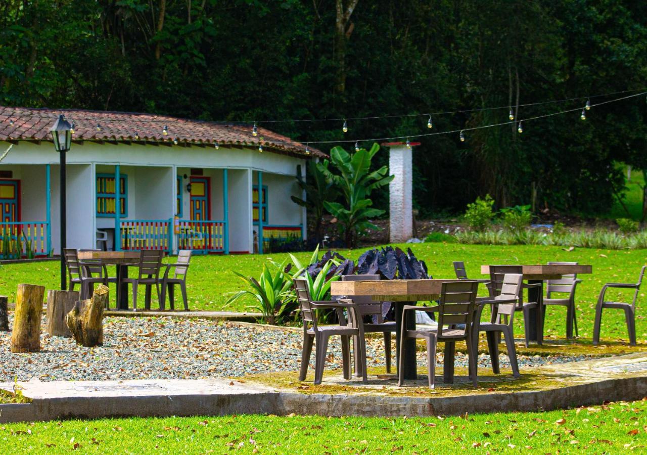 Momotus Cocora Salento