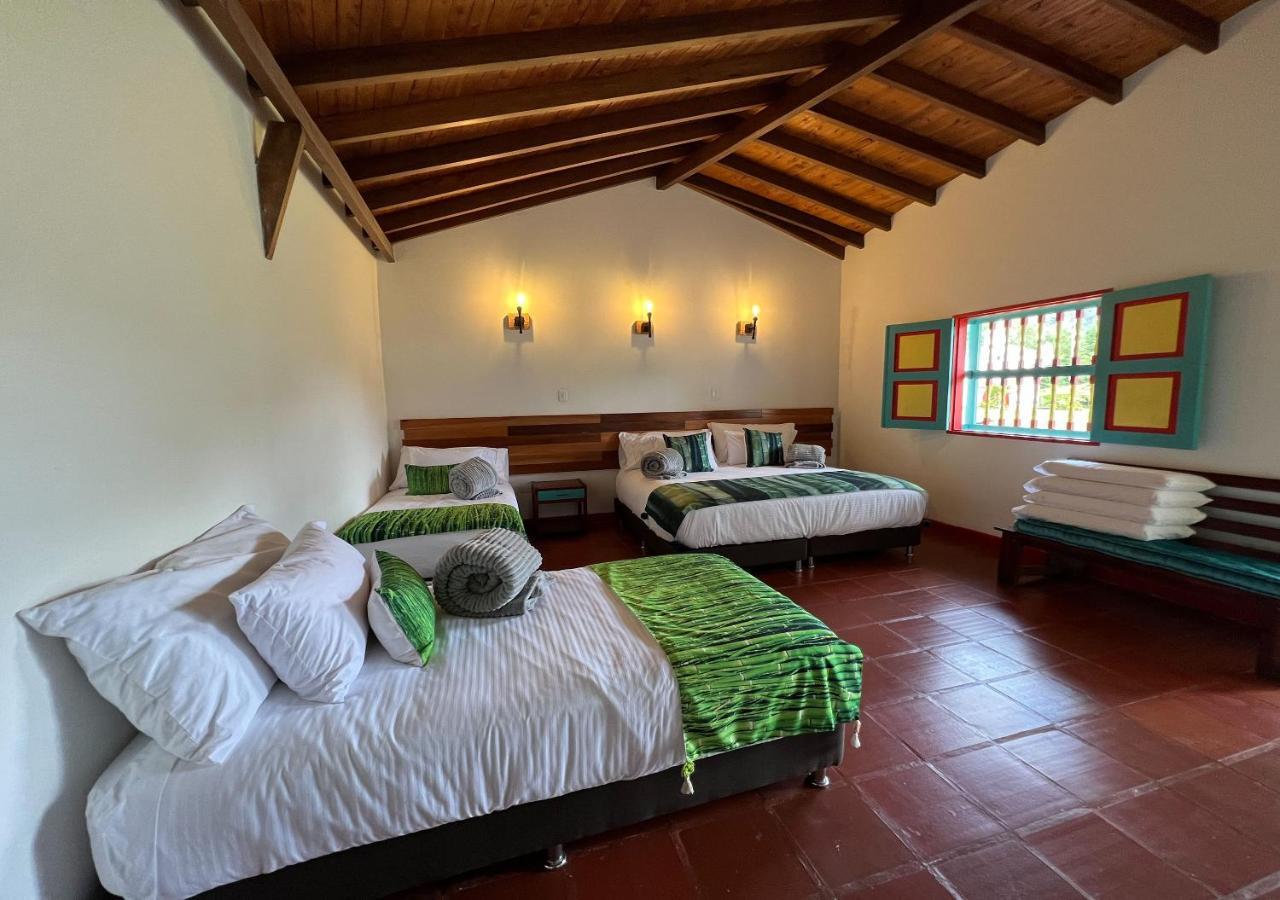 Momotus Cocora Hotel Salento