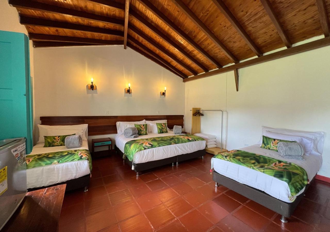 Momotus Cocora Hotel