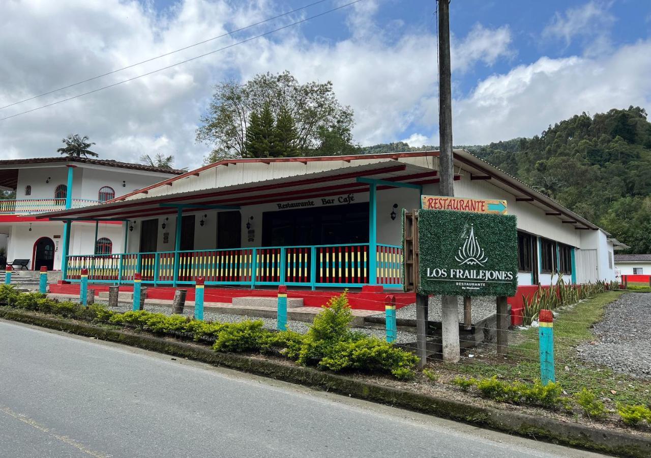 Momotus Cocora 2*