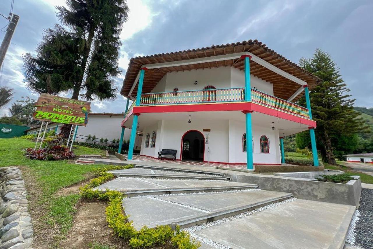 Momotus Cocora Hotel Salento