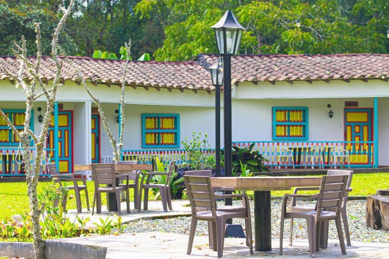 Momotus Cocora Hotel Salento