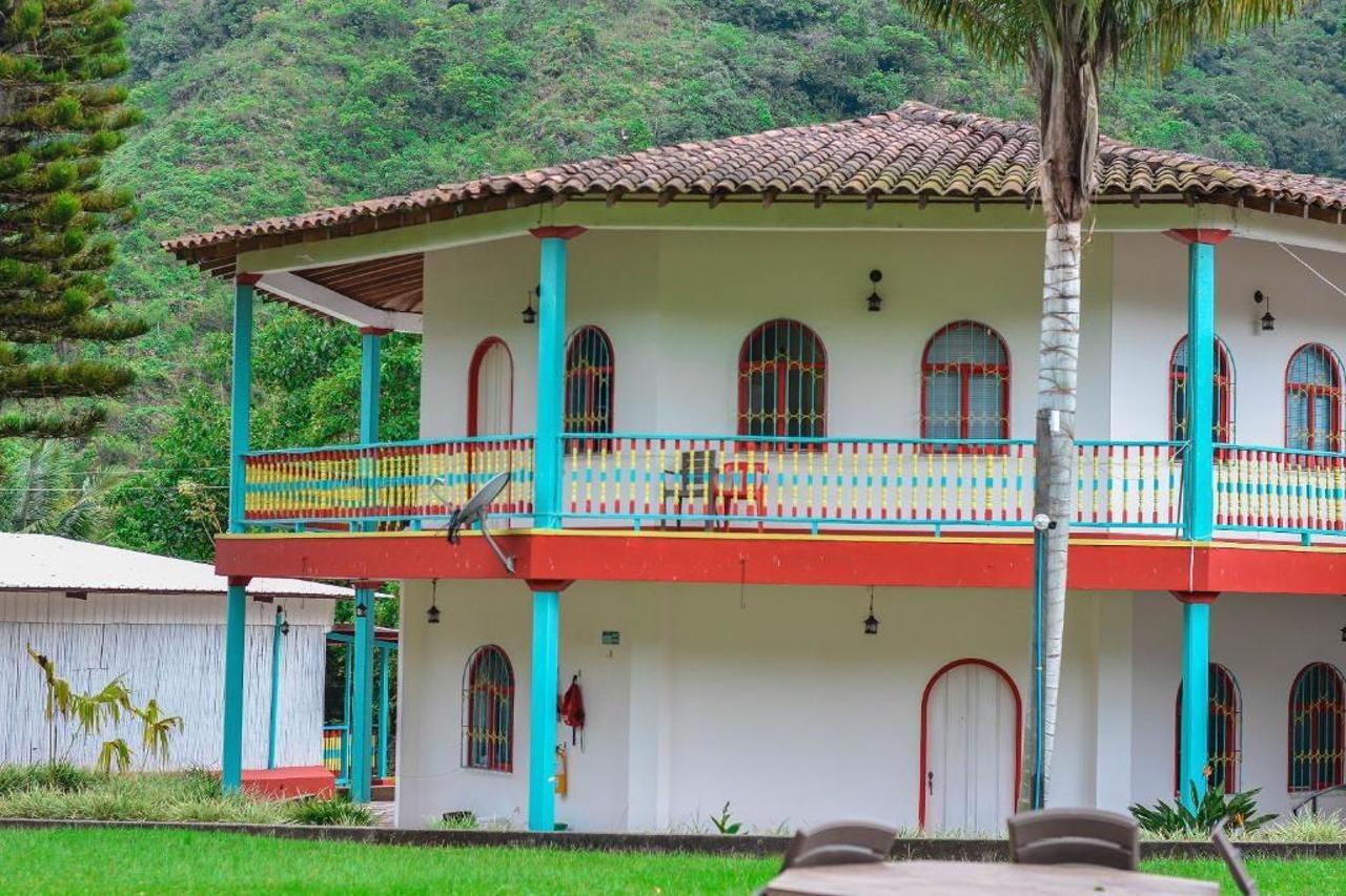 Momotus Cocora 2*