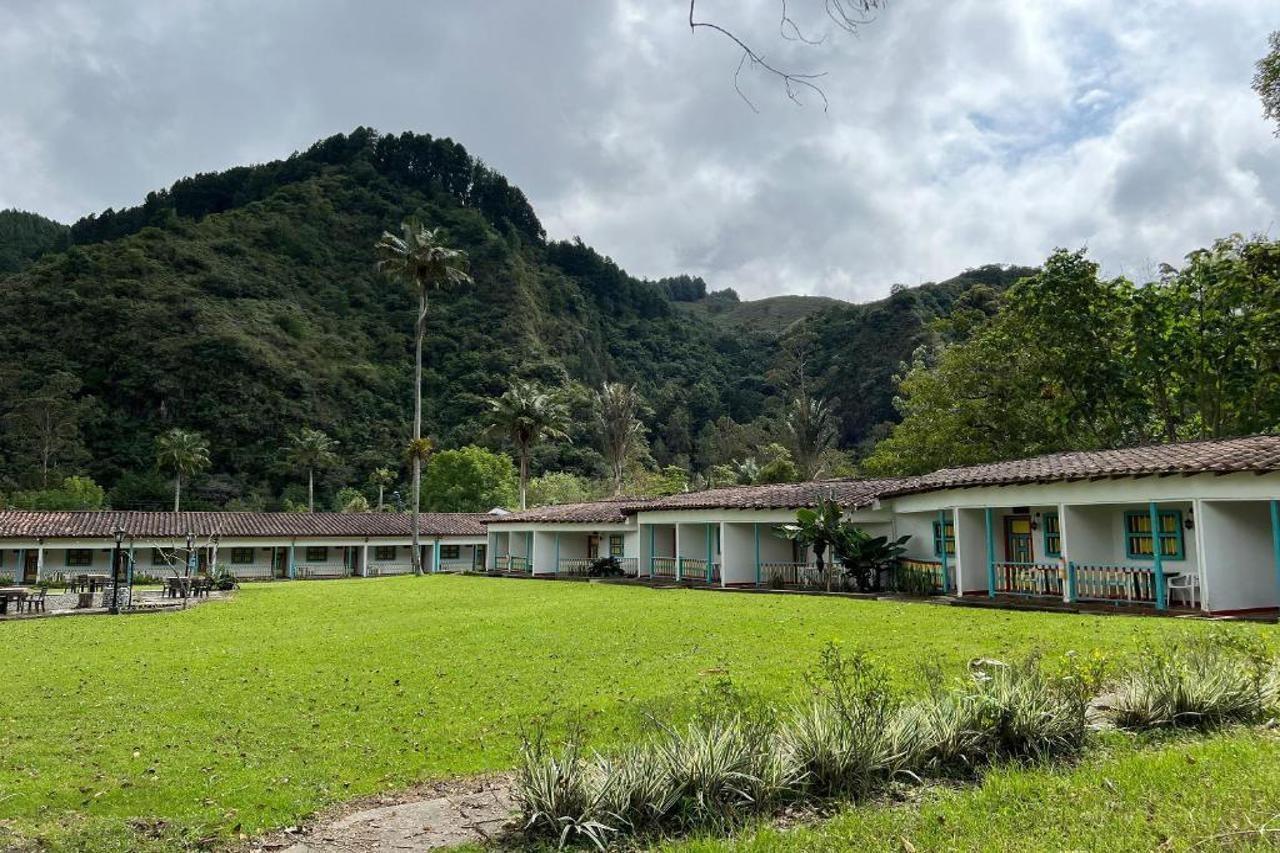 Momotus Cocora Hotel