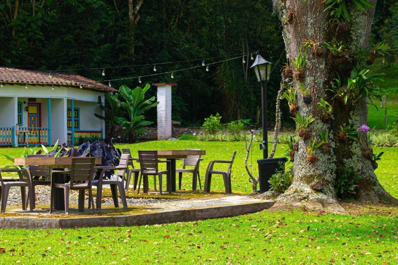 Momotus Cocora Hotel Salento